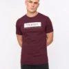Original Jamstate T-Shirt Raisin Crosshatch